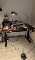 Adjustable Metal LED Task Floor Lamp with Touch Dimming — product view 1