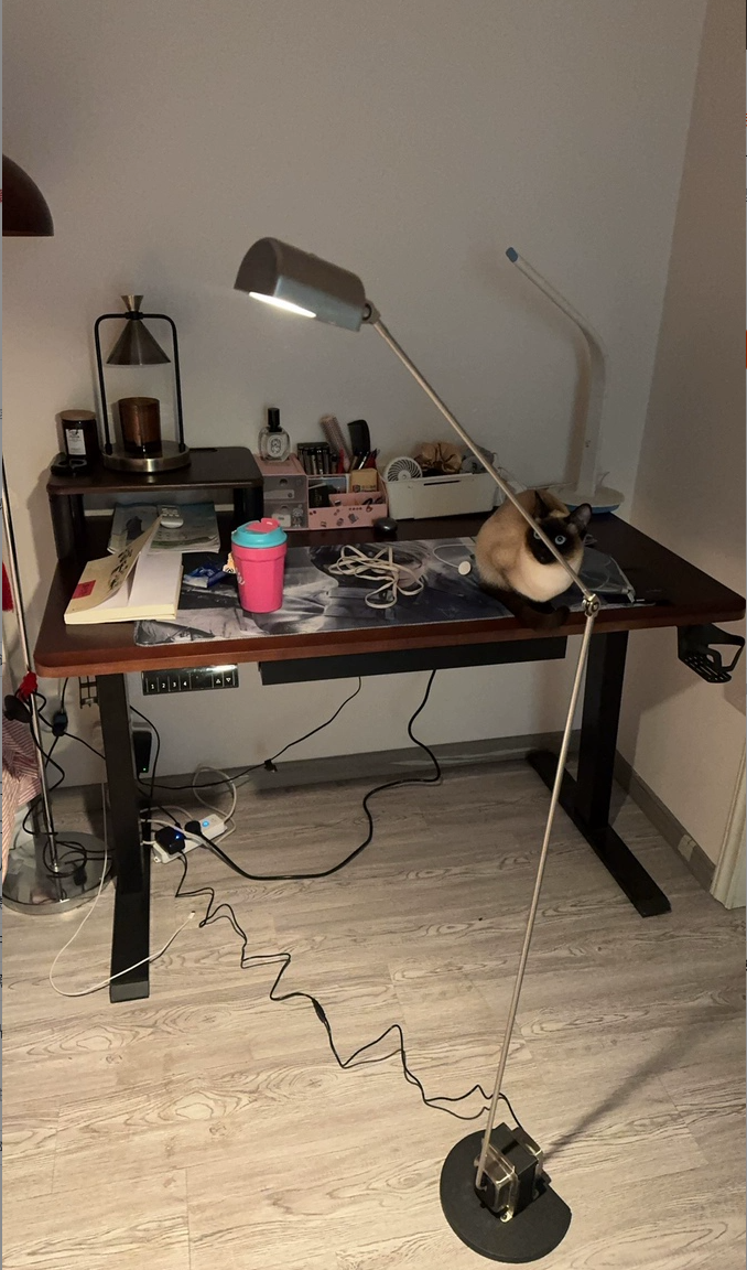 Adjustable Metal LED Task Floor Lamp with Touch Dimming — product view 1